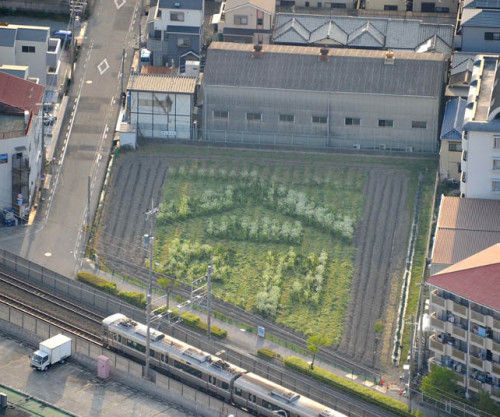 JR宝冢线列车脱轨事故现场附近的农田中摆出的“命”字图案 JR宝冢线列车脱轨事故现场附近的农田中摆出的“命”字图案