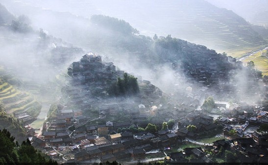 晨曦 晨曦