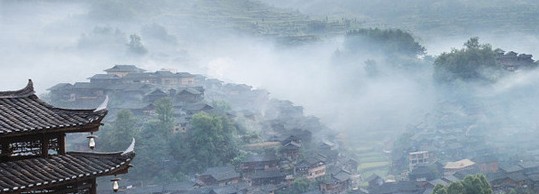 晨曦 晨曦
