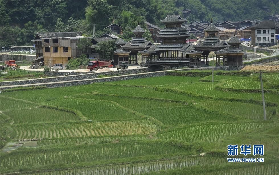 肇兴侗寨一景(6月20日摄)。 肇兴侗寨一景(6月20日摄)。