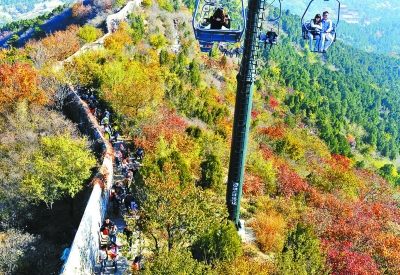 27日香山红叶变色率达到72%,但仍难有“漫山红遍”的感觉 27日香山红叶变色率达到72%,但仍难有“漫山红遍”的感觉