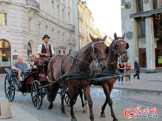 άҲ�ɽ�ͷ�Ĺ۹�������ͼƬ��Դ��������