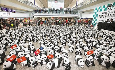 1600纸熊猫抵机场 夏日"快闪"游香江(图) 1600纸熊猫抵机场 夏日"快闪"游香江(图)