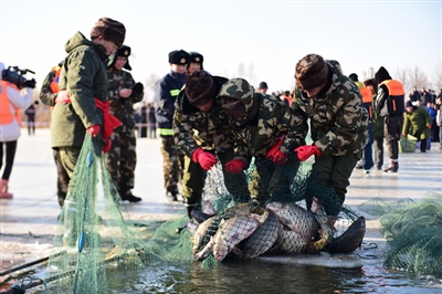 金马湖冬捕