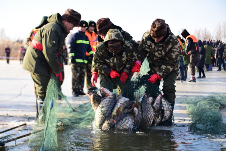 磴口县冬捕 邢皓 摄 磴口县冬捕 邢皓 摄