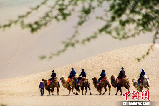 �ػ���ɳɽ����Ȫ�����Ĺ۹��նӡ�������������