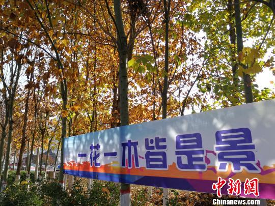 阳城把“种农田”变为“卖风光”,把“美丽风景”变身“美丽经济”。资料图 杨杰英 摄