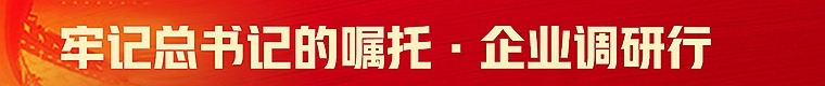 牢记总书记的嘱托 企业调研行
