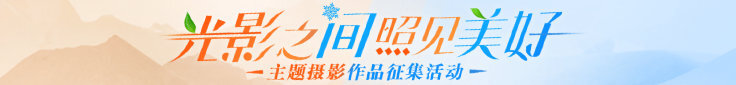 光影之间照见美好